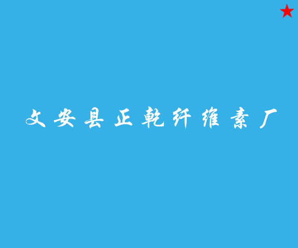 文安县正乾纤维素厂